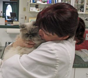 Doctor Holding Fluffy Cat