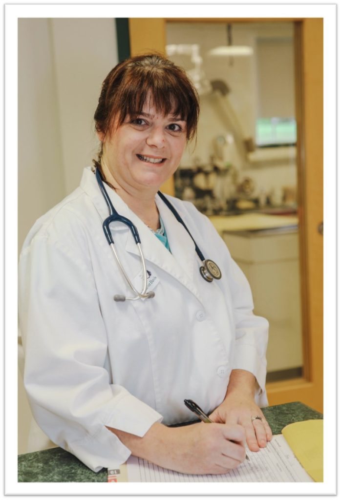 Dr. Sharon Davis – The Cat Doctor