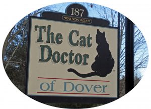 The Cat Doctor of Dover Sign